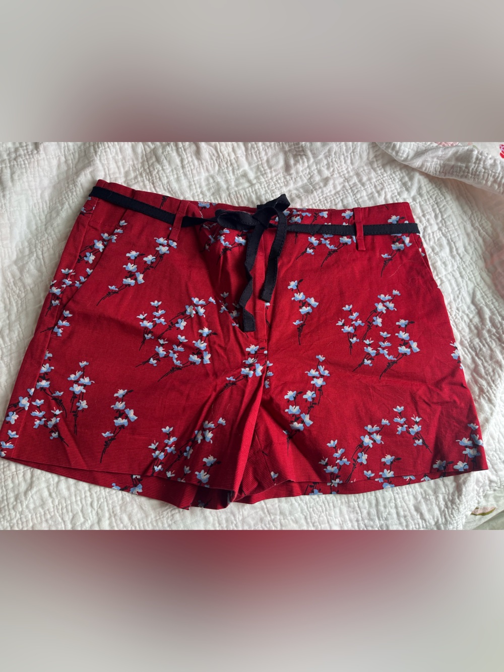 LOFT Riviera Shorts - Red with Blue Floral Accents
